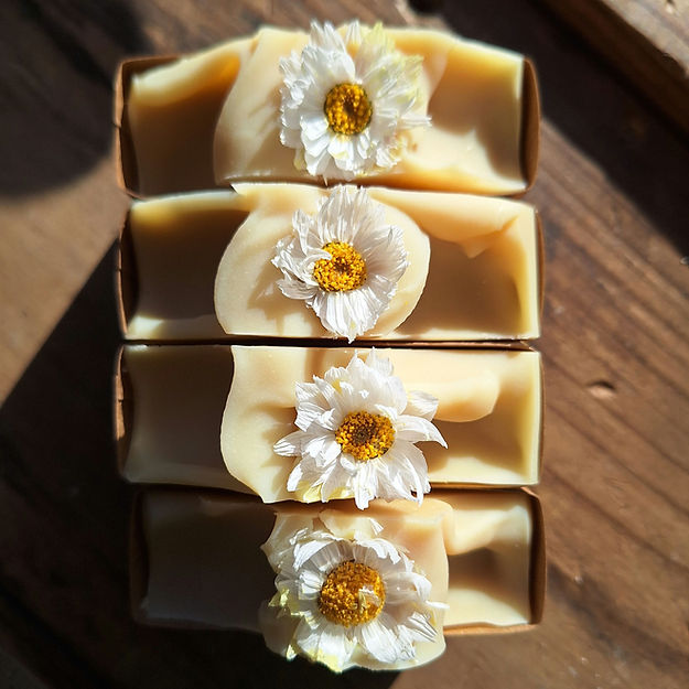 Daisy Soap