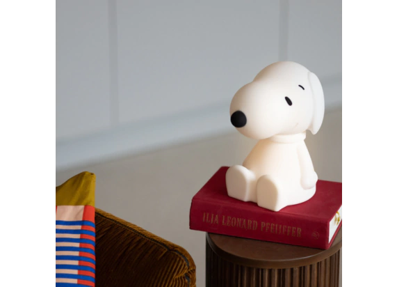 Snoopy Bundle Of Light