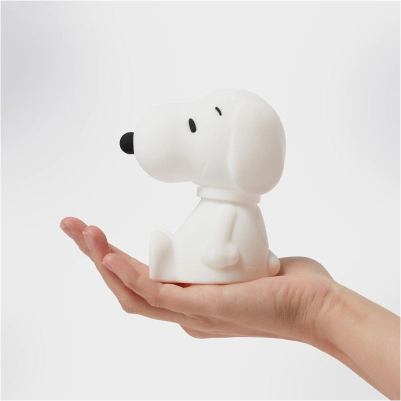 Snoopy Bundle Of Light
