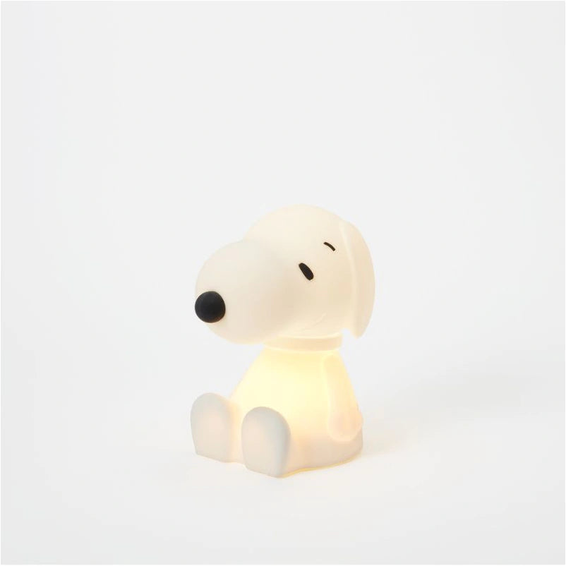 Snoopy Bundle Of Light