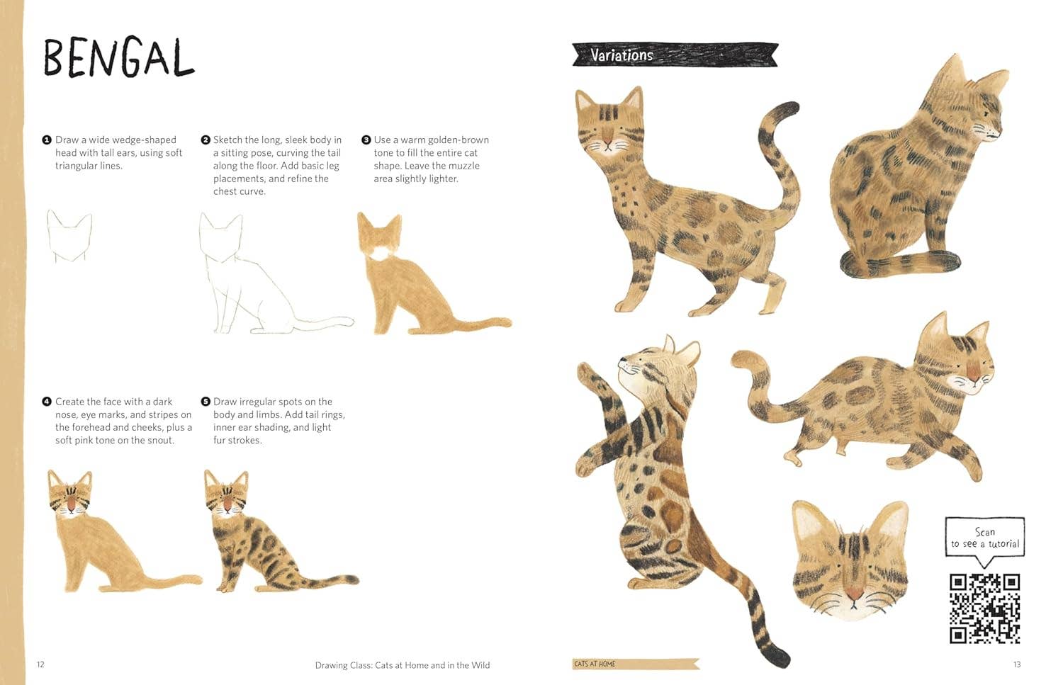 Drawing Class: Cats At Home & In the Wild