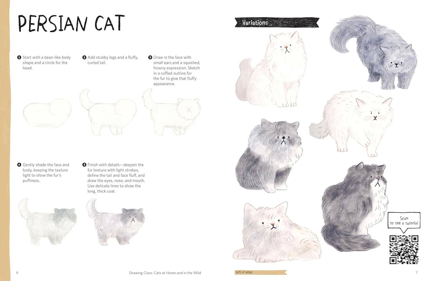Drawing Class: Cats At Home & In the Wild