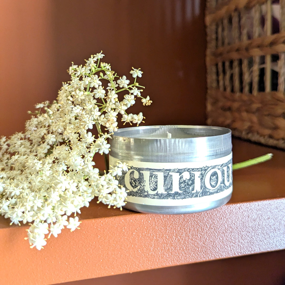 Elderflower Curiouser Candle