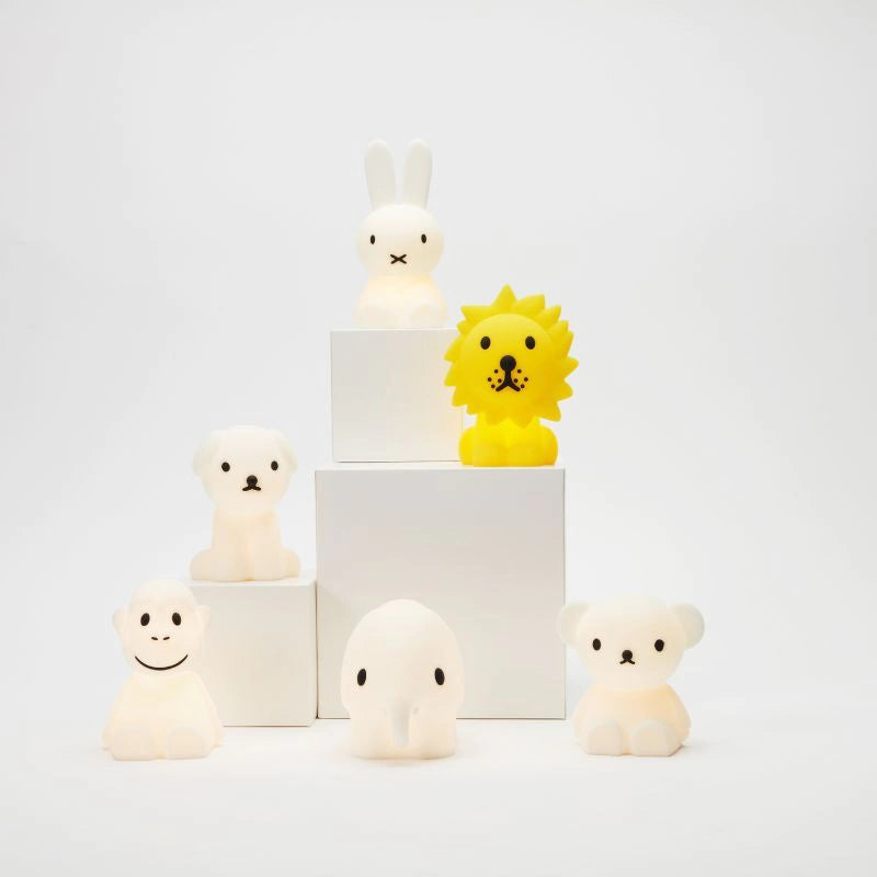 Boris Bundle Of Light