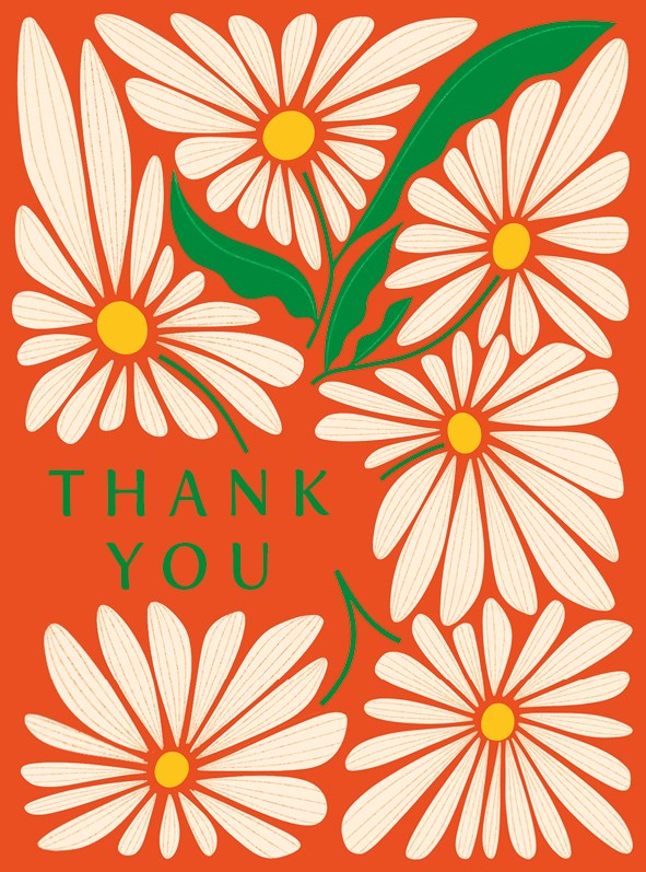 Set of 6 Daisy Thank You Card Pack