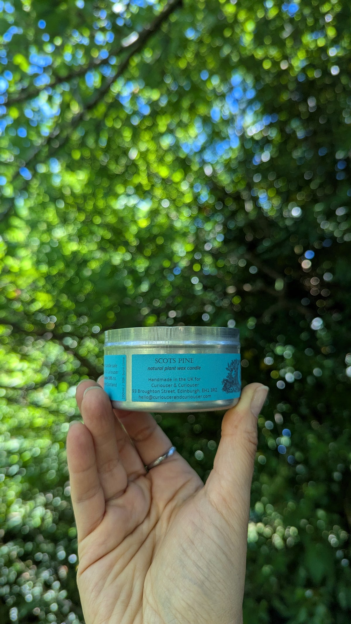 Scots Pine Curiouser Candle