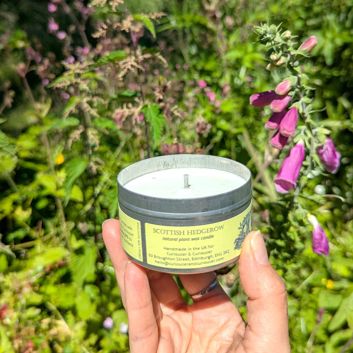 Scottish Hedgerow Curiouser Candle