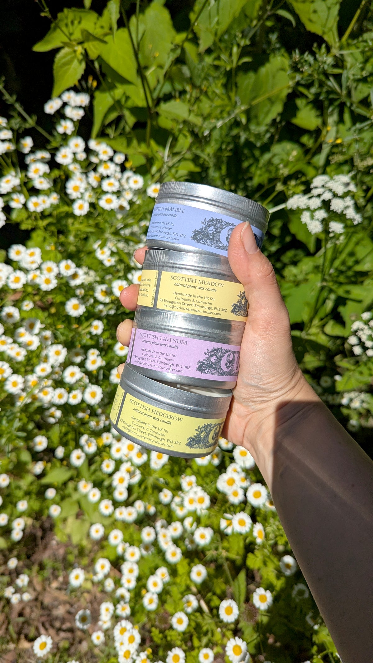 Scottish Meadow Curiouser Candle