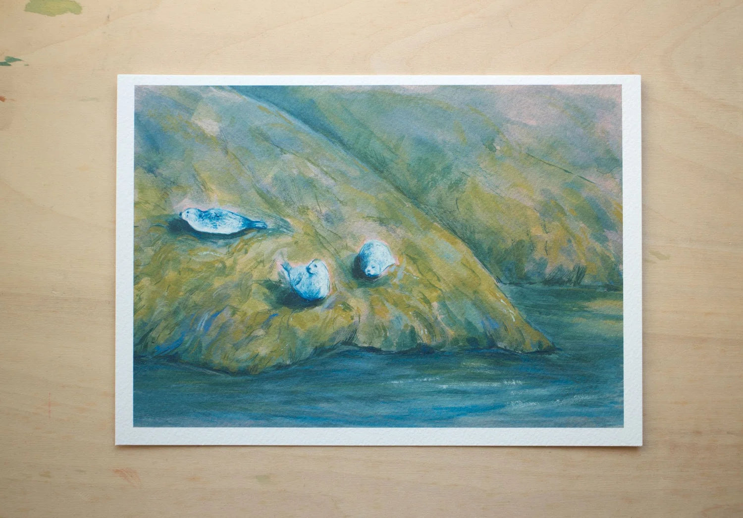 A5 Seal On The Seaweed Rocks Art Print