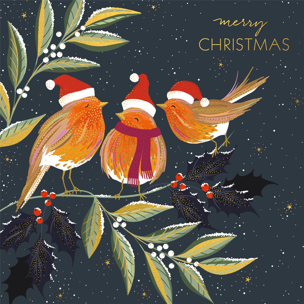 Pack Of 10 Christmas Cards - Robin Chorus