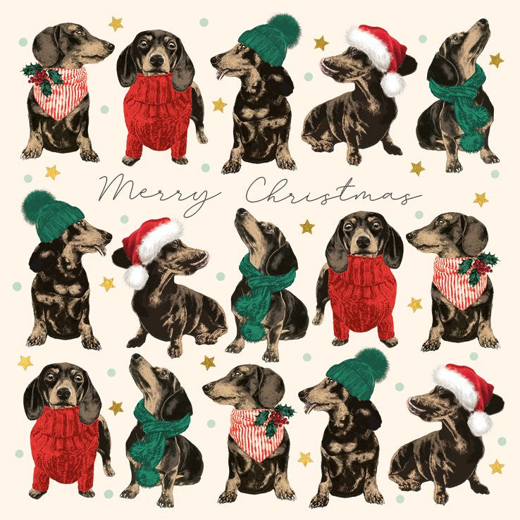 Pack of 6 Christmas Cards - Frank In Sweaters