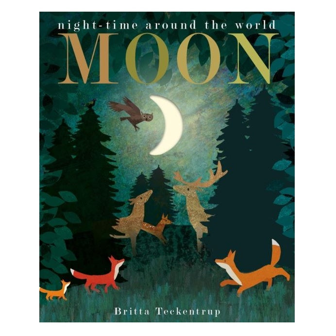 Moon: Night Time Around The World Board Book