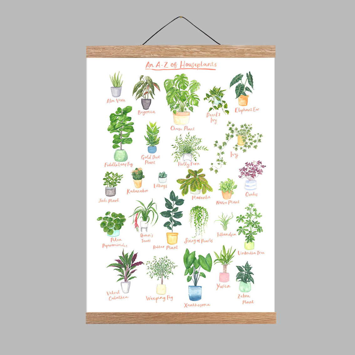 A3 A to Z of House Plants Art Print