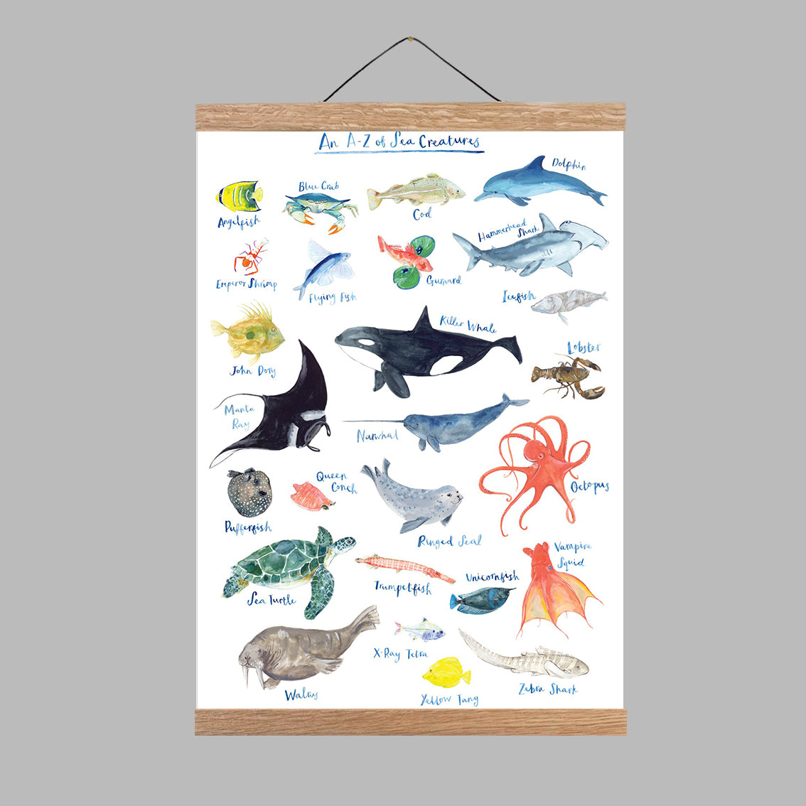 A3 A to Z of Sea Creatures Art Print