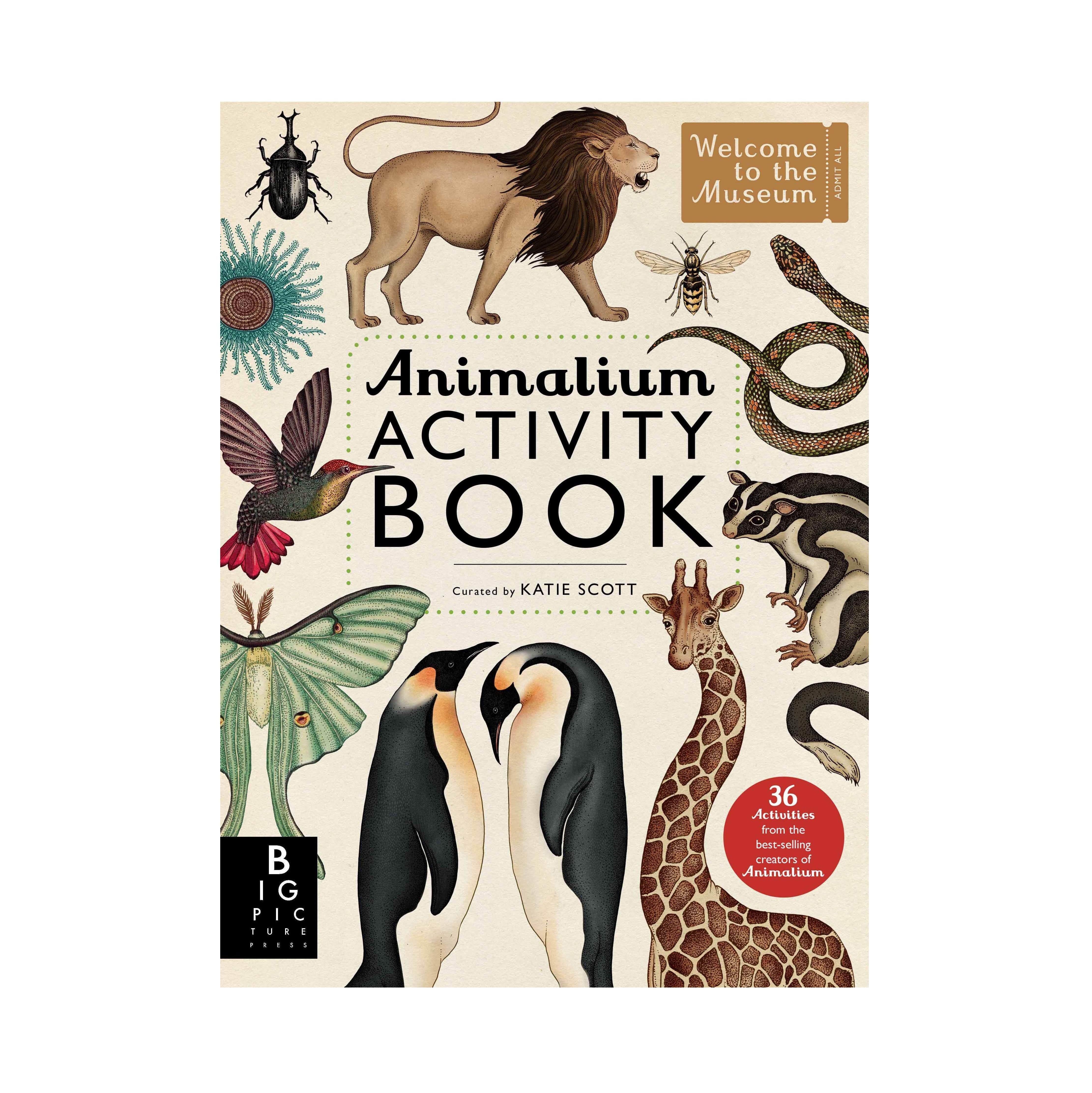 Animalium Activity Book
