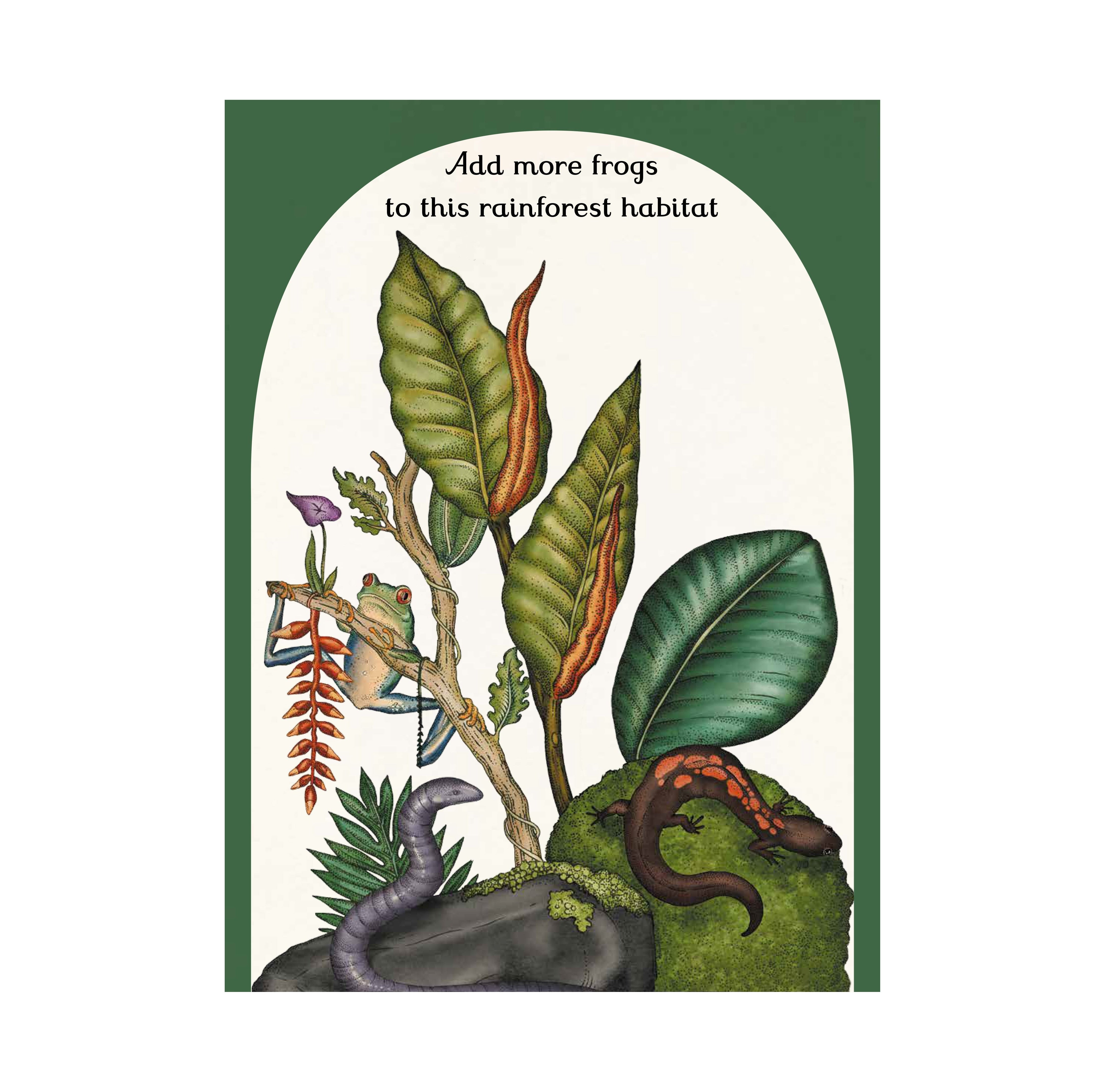 Animalium Activity Book