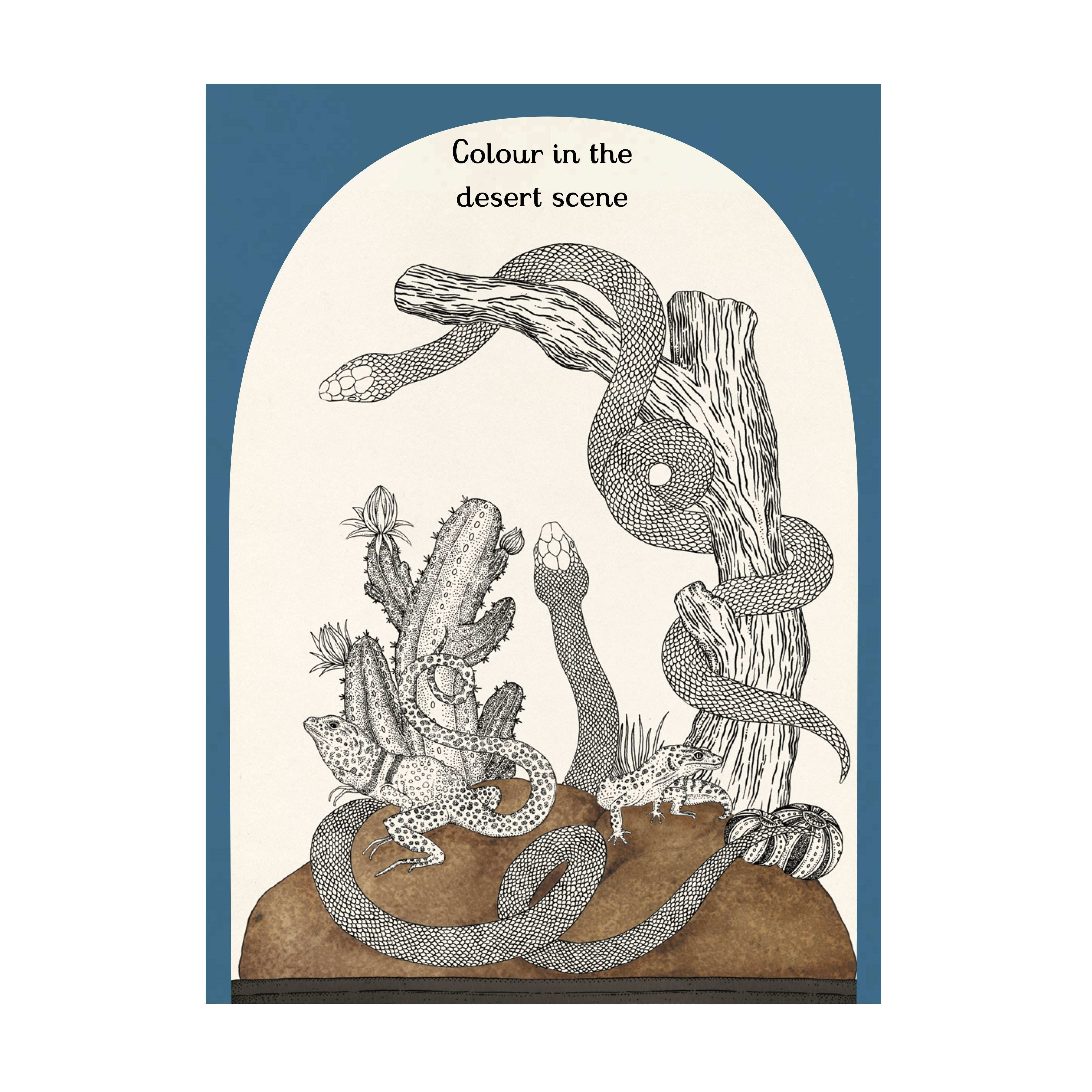 Animalium Activity Book