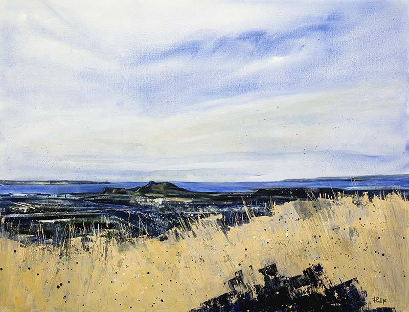 View From Arthurs Seat Art Print