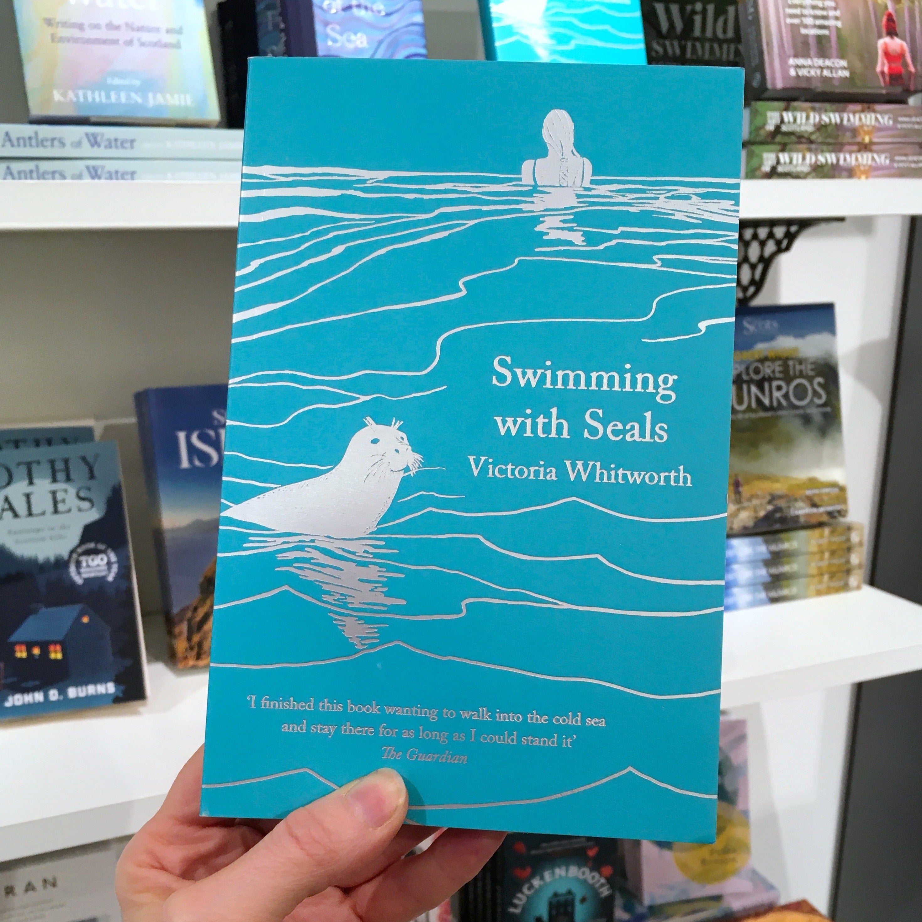Swimming With Seals