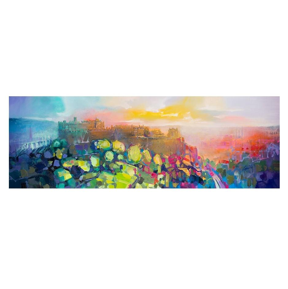 Edinburgh Castle Art Print