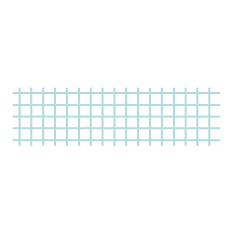 Hougan Mint Blue MT Washi Tape