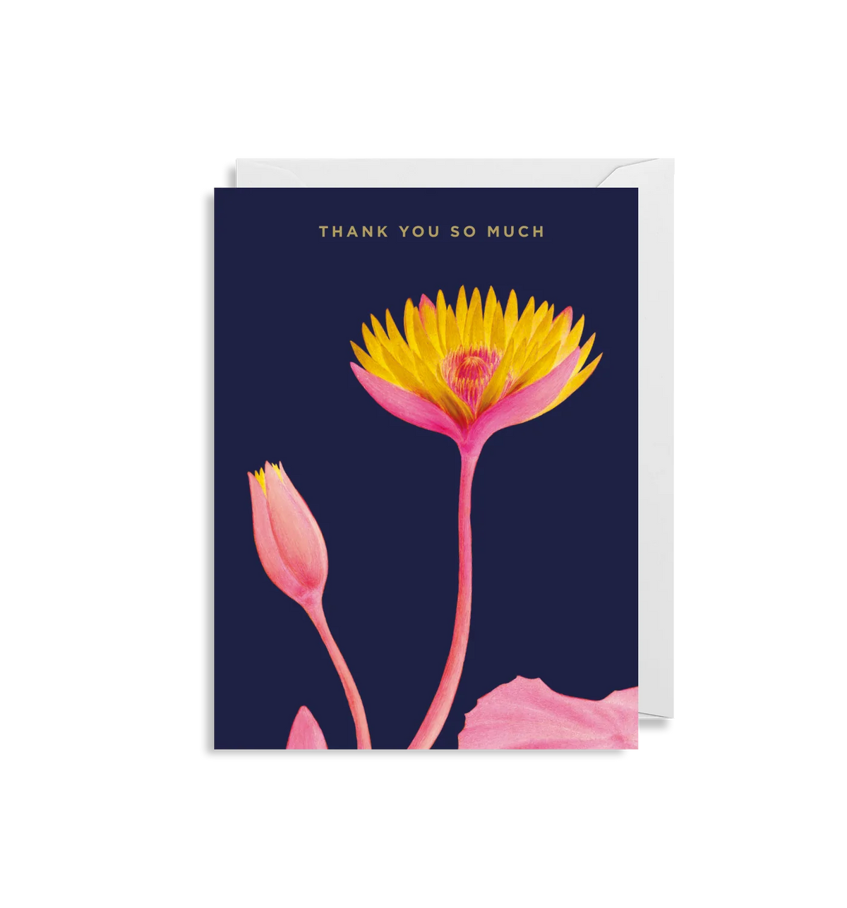 Kew's Thank You So Much Card