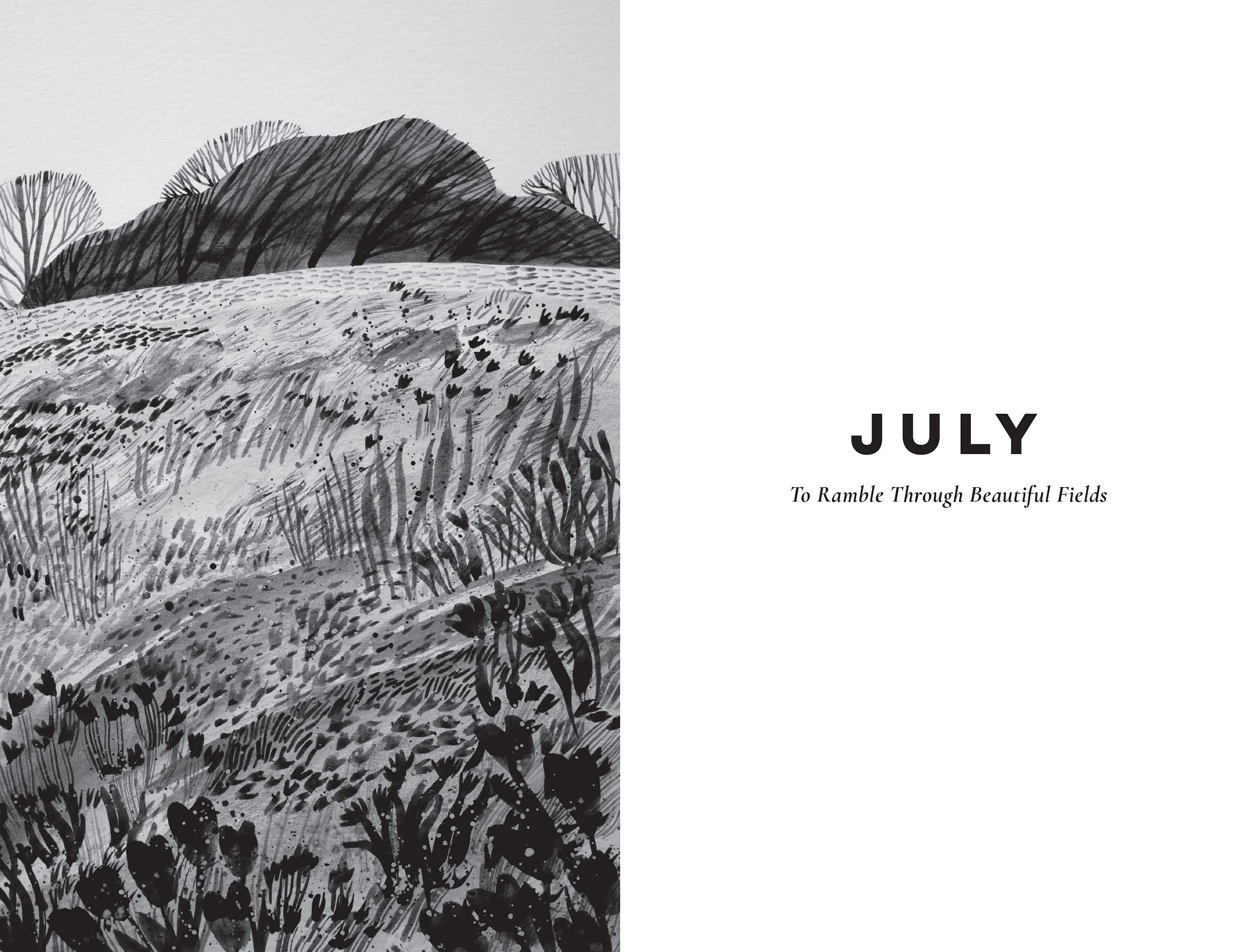 Nature Writing For Every Day Of The Year