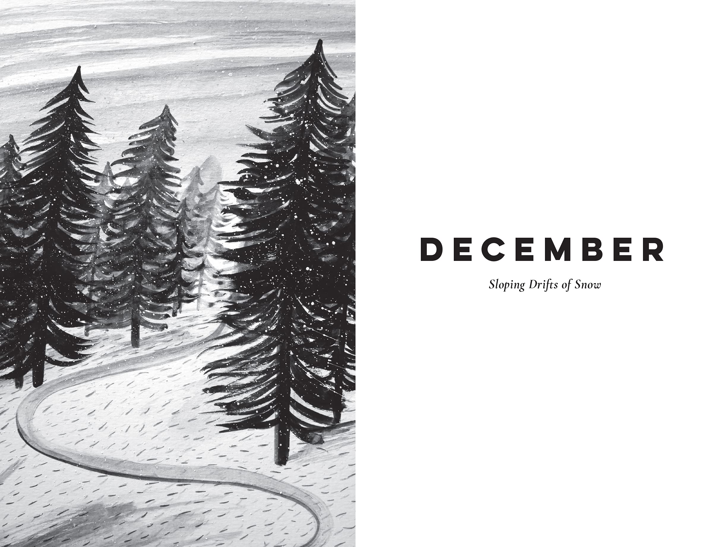 Nature Writing For Every Day Of The Year