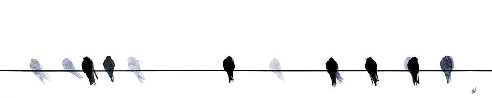 Swallows Waiting To Go Art Print