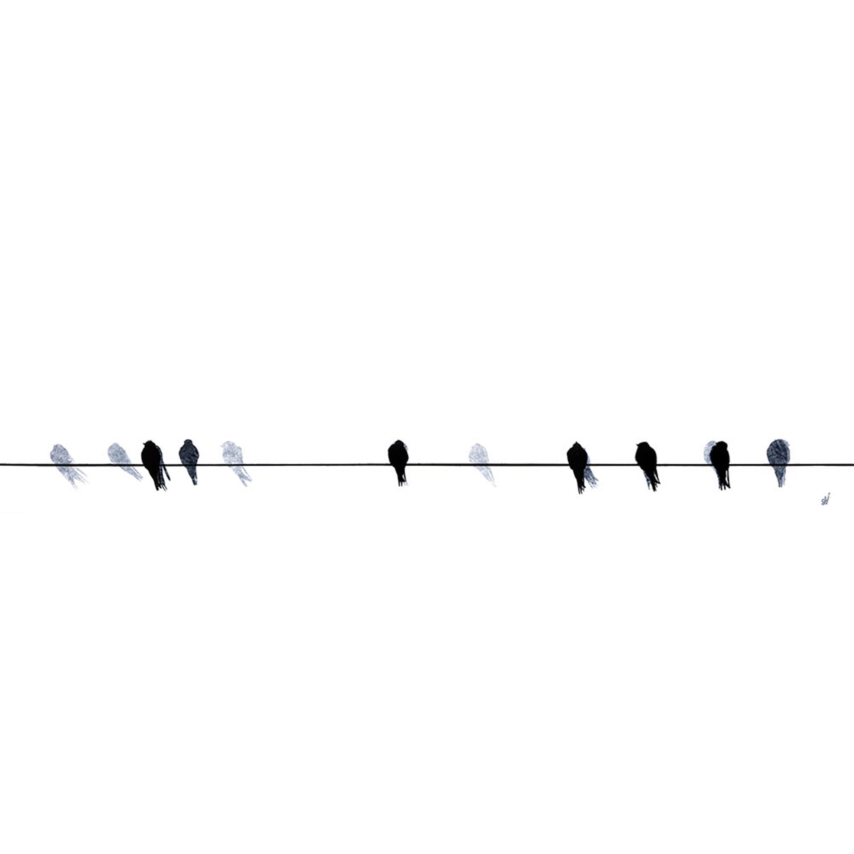 Swallows Waiting To Go Art Print