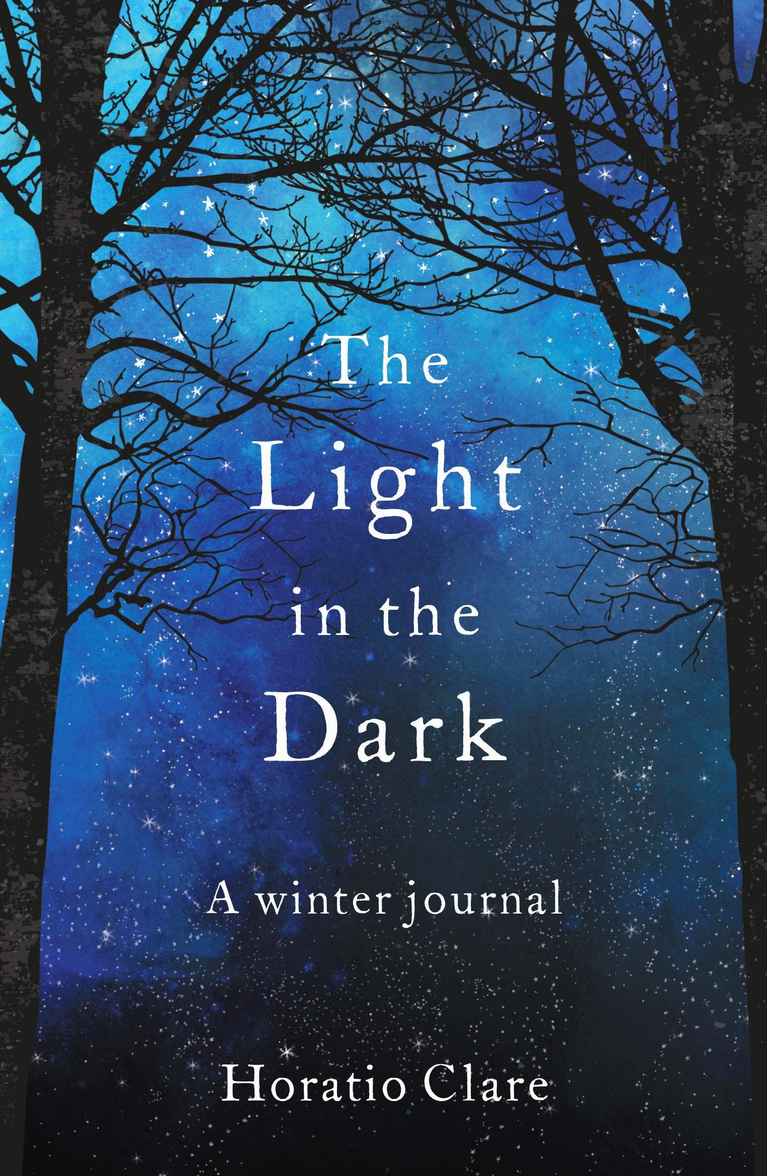 The Light in the Dark : A Seasonal Journal