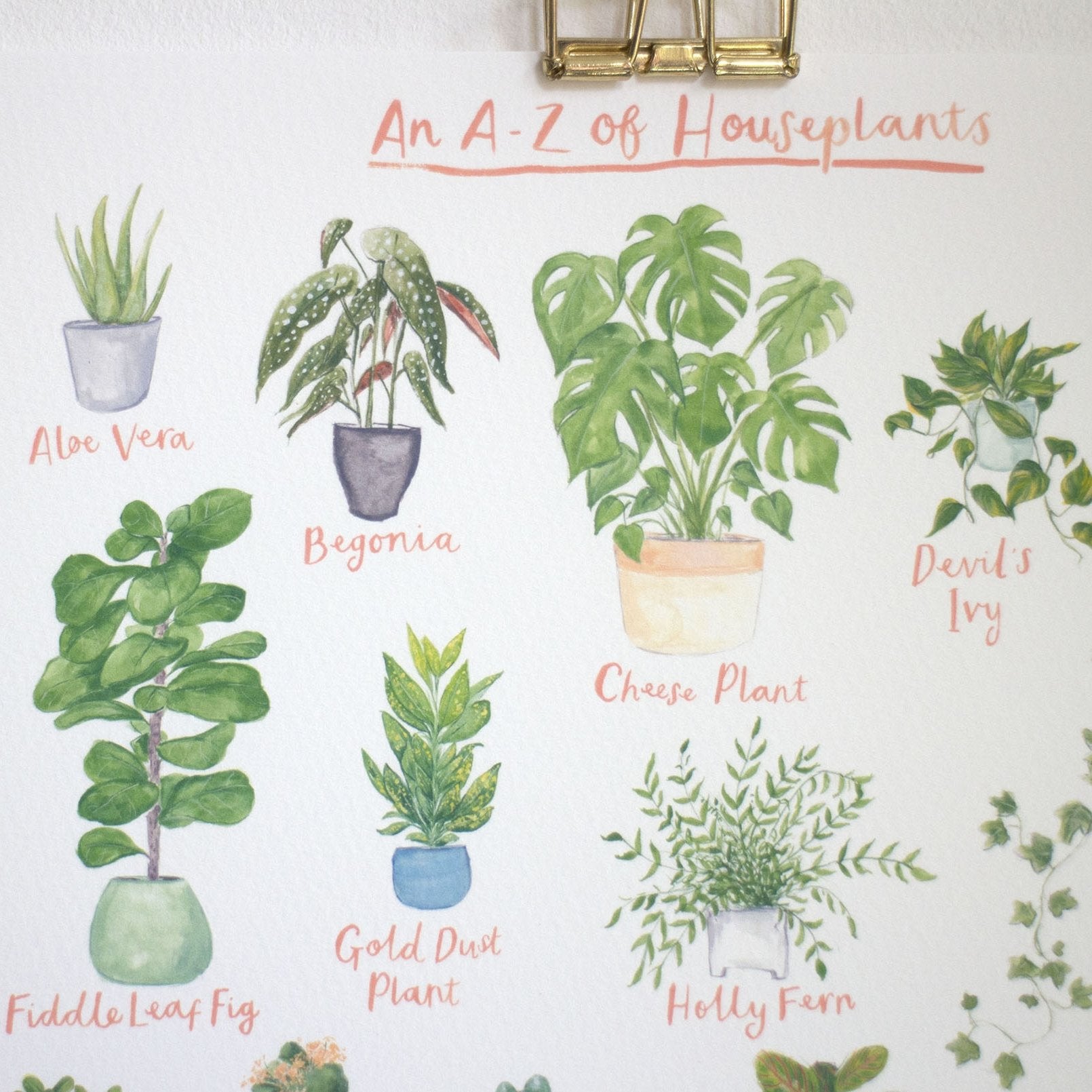 A3 A to Z of House Plants Art Print