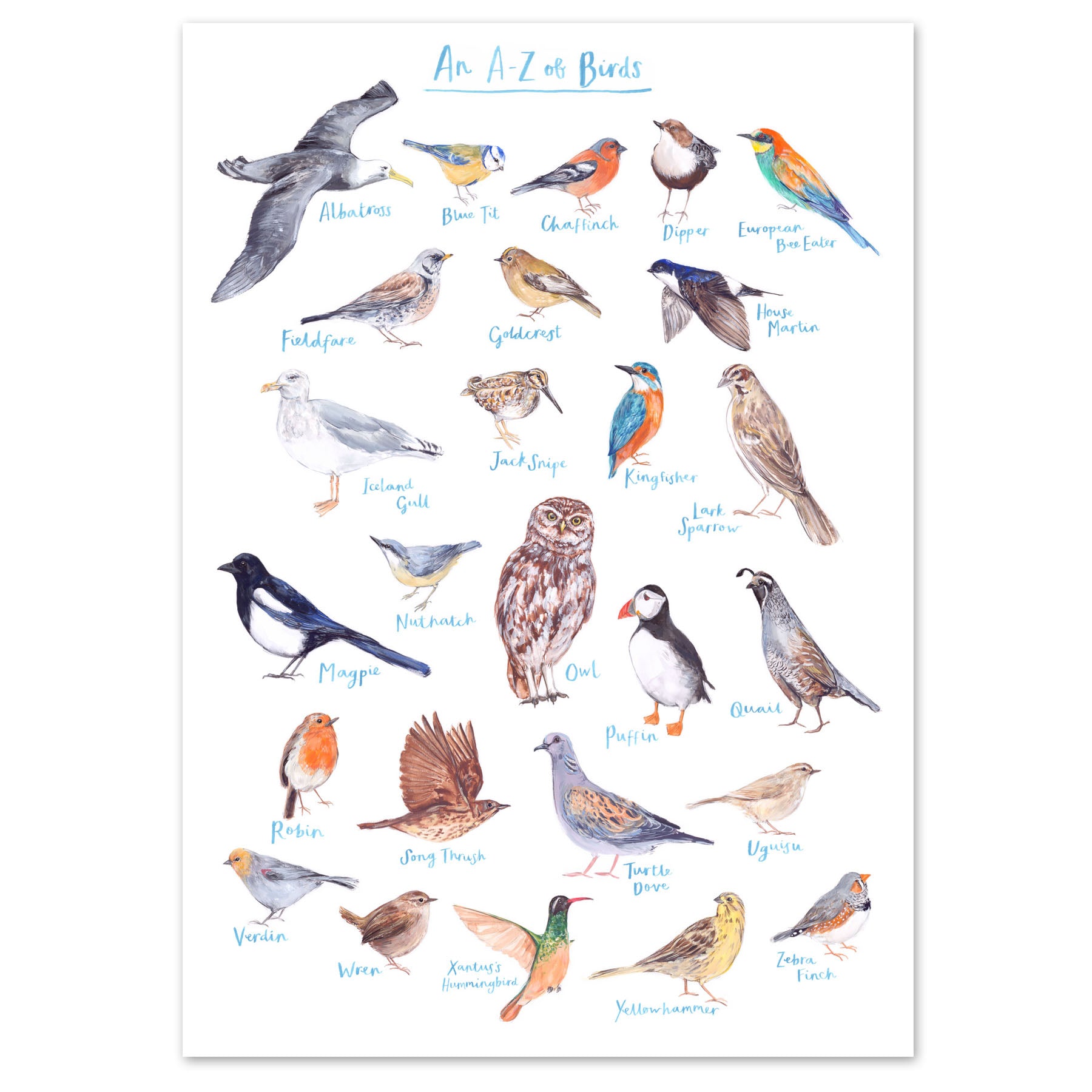A4 A to Z of Birds Art Print