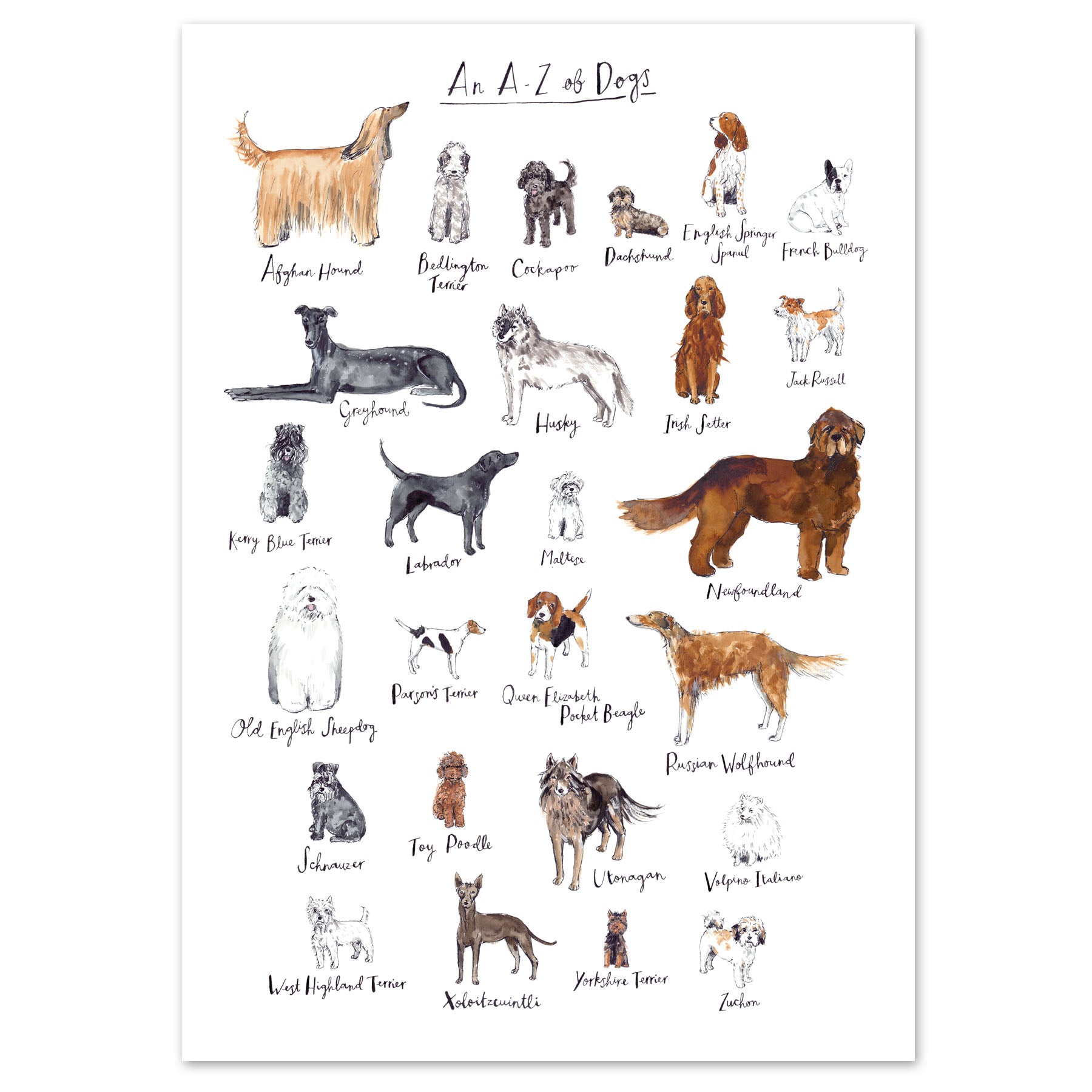 A4 A to Z of Dogs Art Print