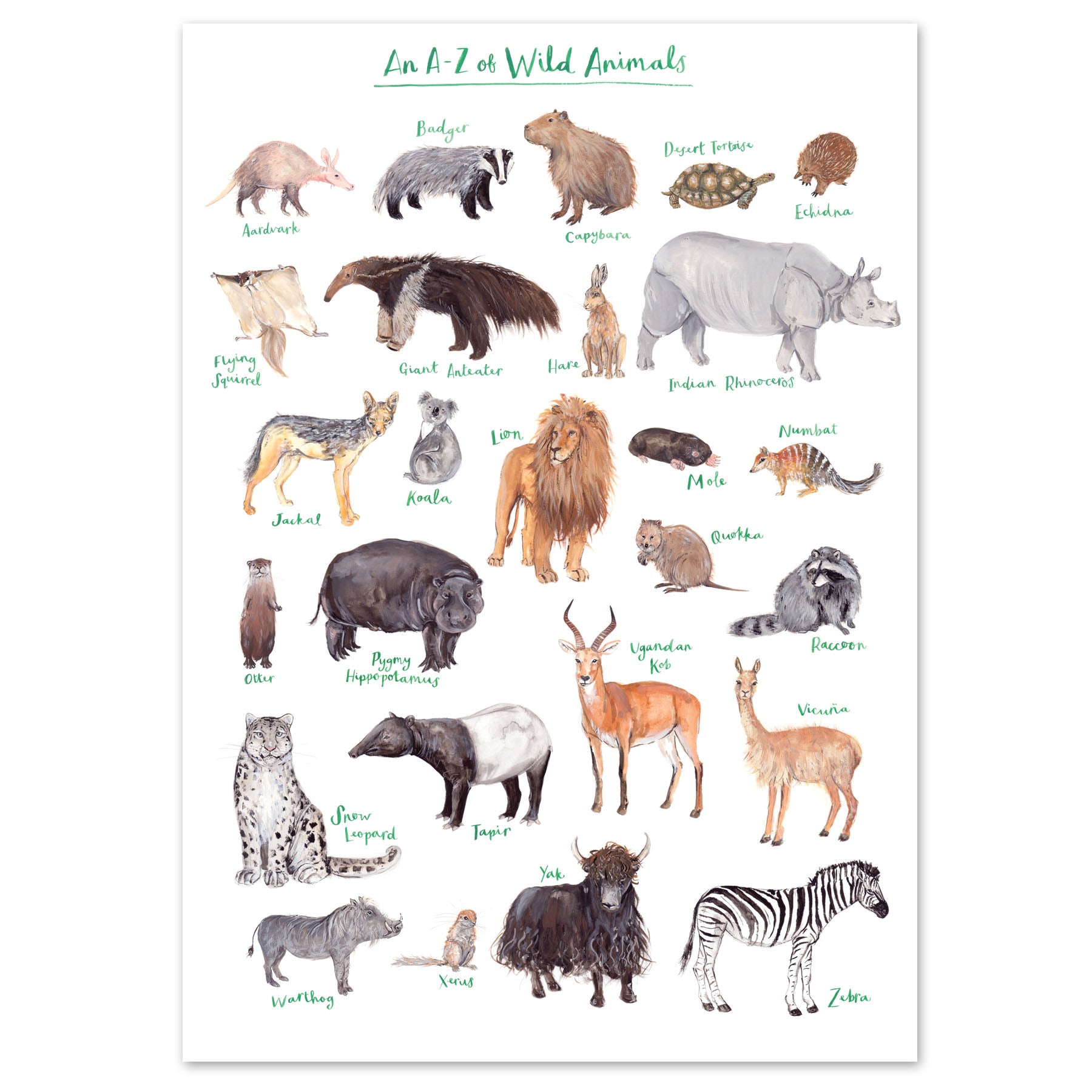 A4 A to Z of Wild Animals Art Print