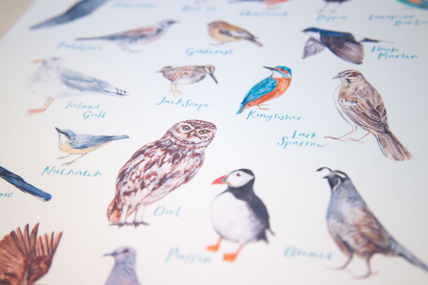 A4 A to Z of Birds Art Print