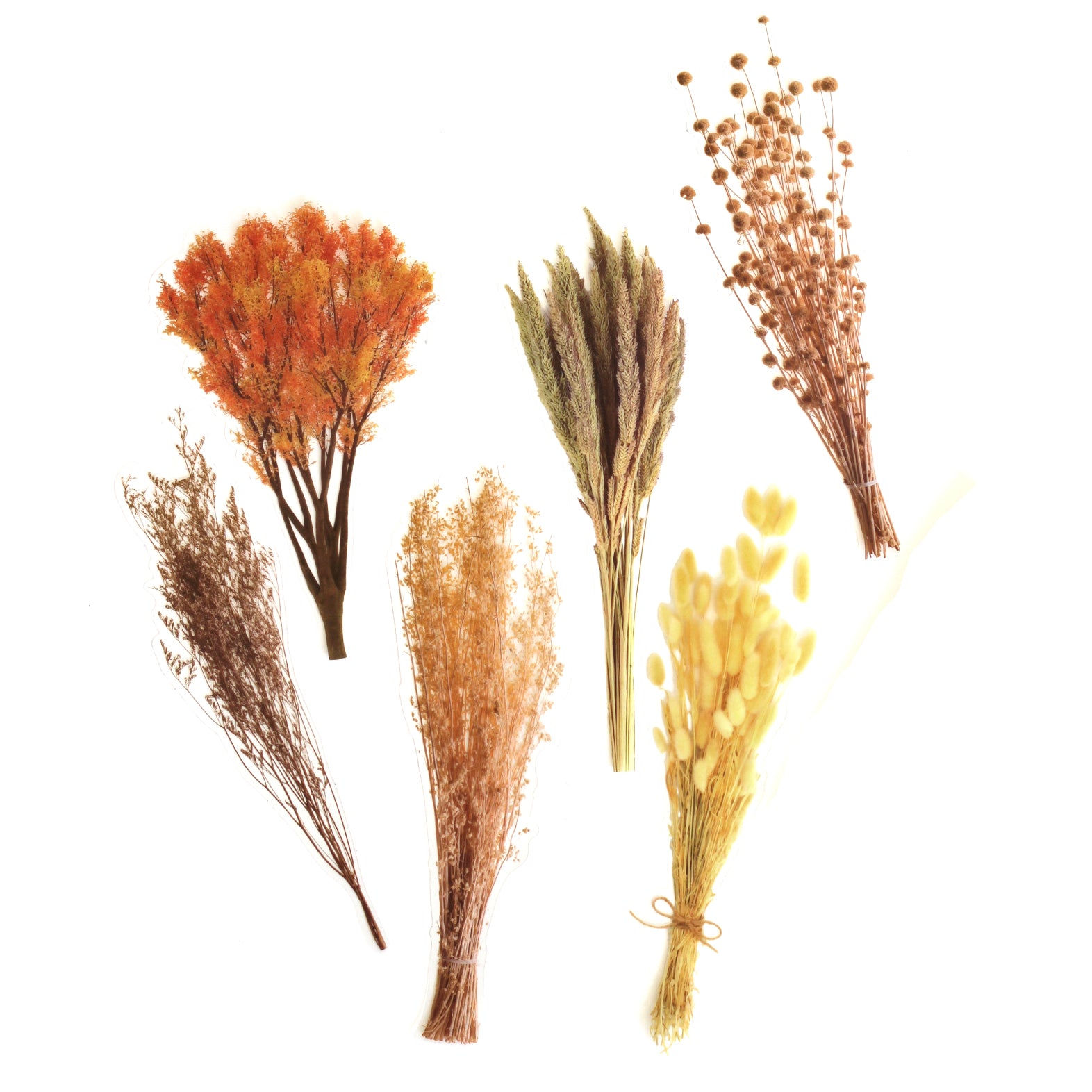 Pack Of 6 Dried Flower Stickers