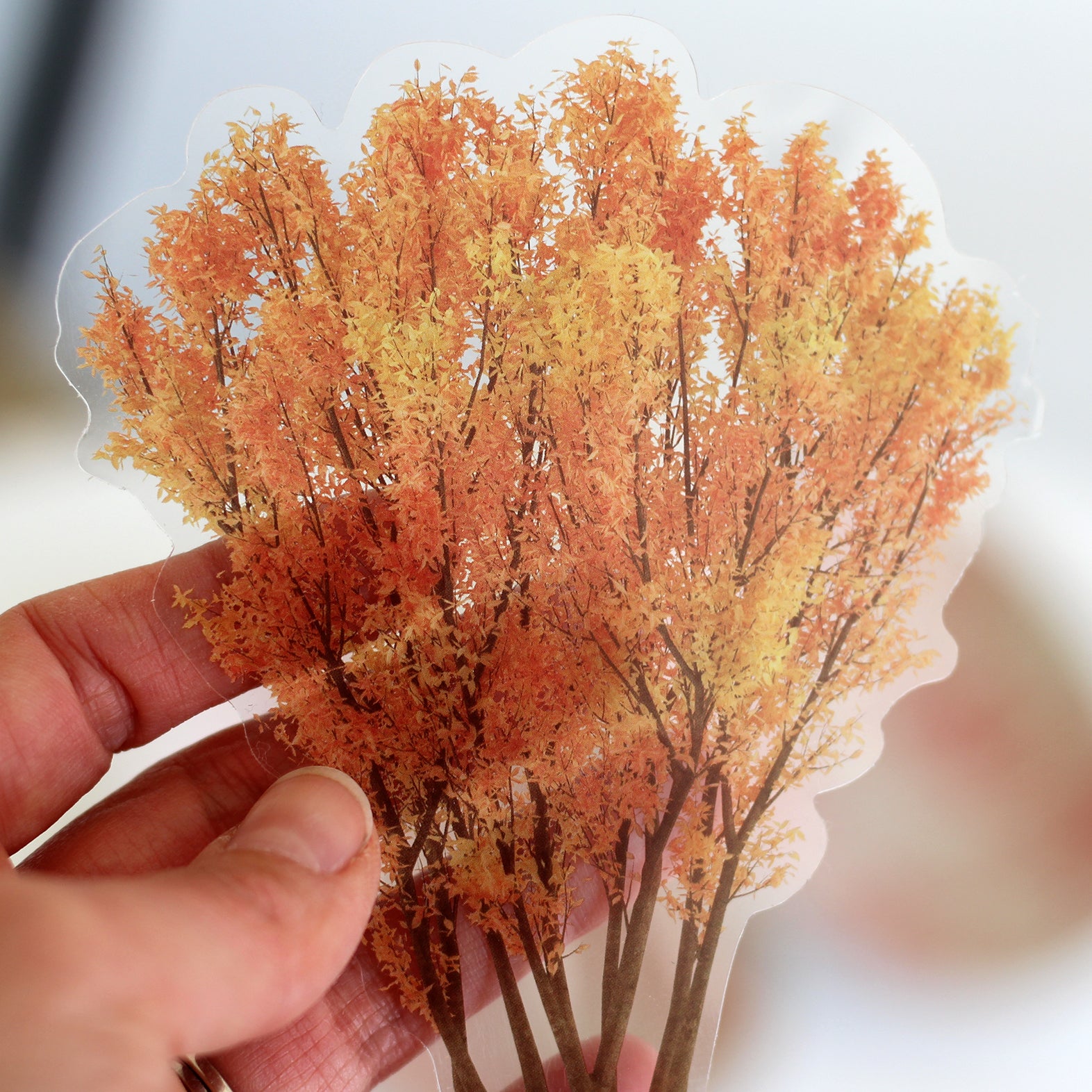 Pack Of 6 Dried Flower Stickers