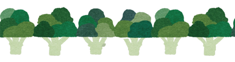 Broccoli MT Washi Tape