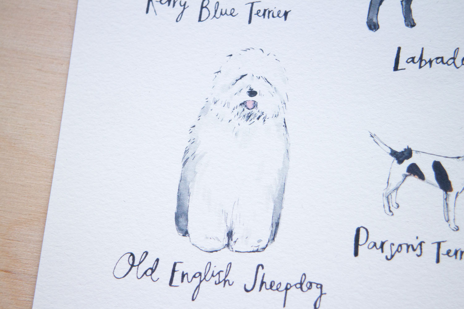 A3 A to Z of Dogs Art Print
