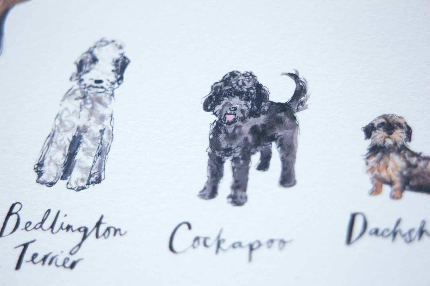 A3 A to Z of Dogs Art Print