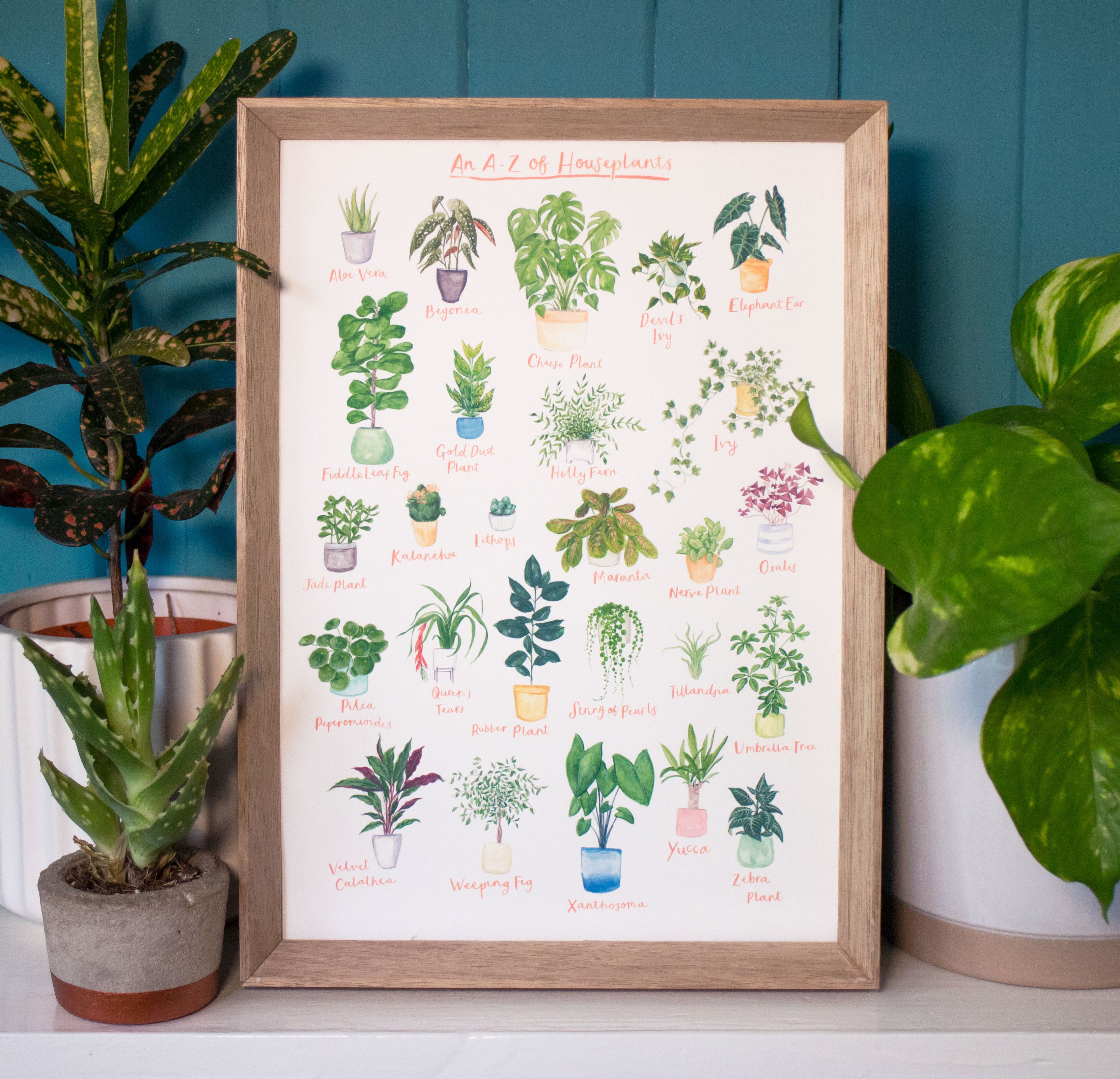 A3 A to Z of House Plants Art Print