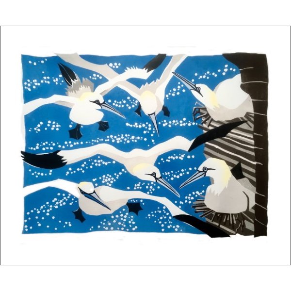 Lisa Hooper - Westray Gannets Blank Card