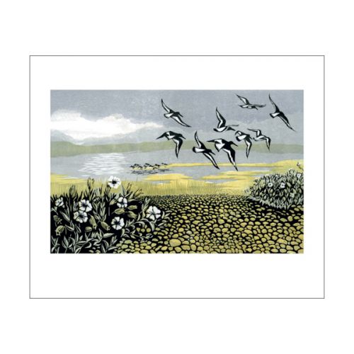 Blakeney Oyster Catchers Blank Card