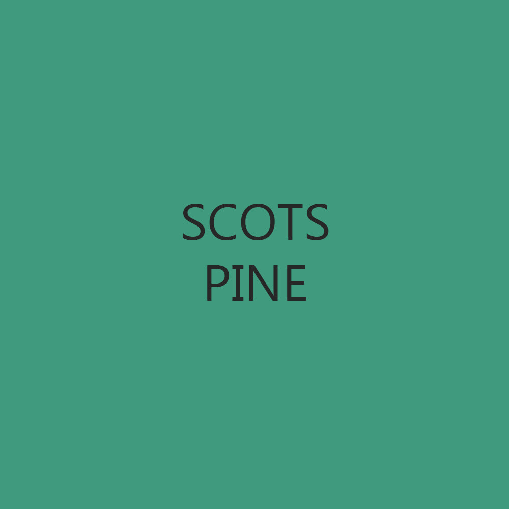 Curiouser Scented Candles