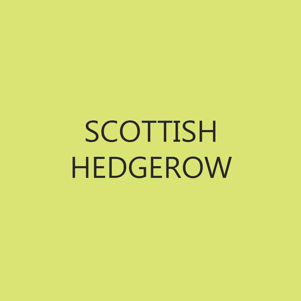 Curiouser Scented Candles