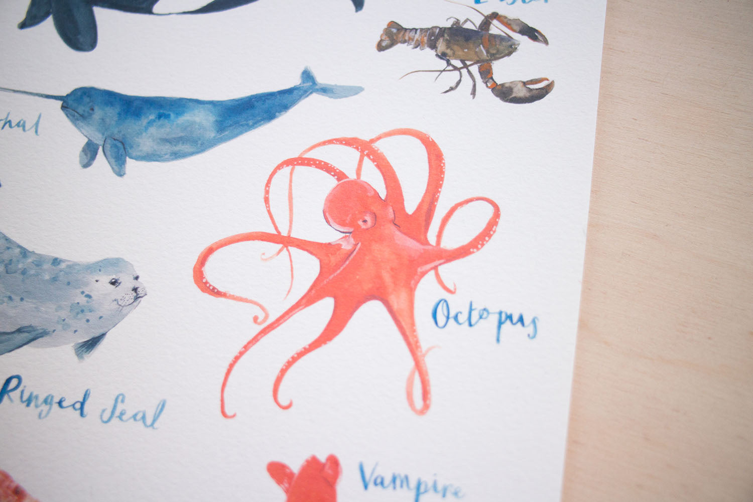 A3 A to Z of Sea Creatures Art Print