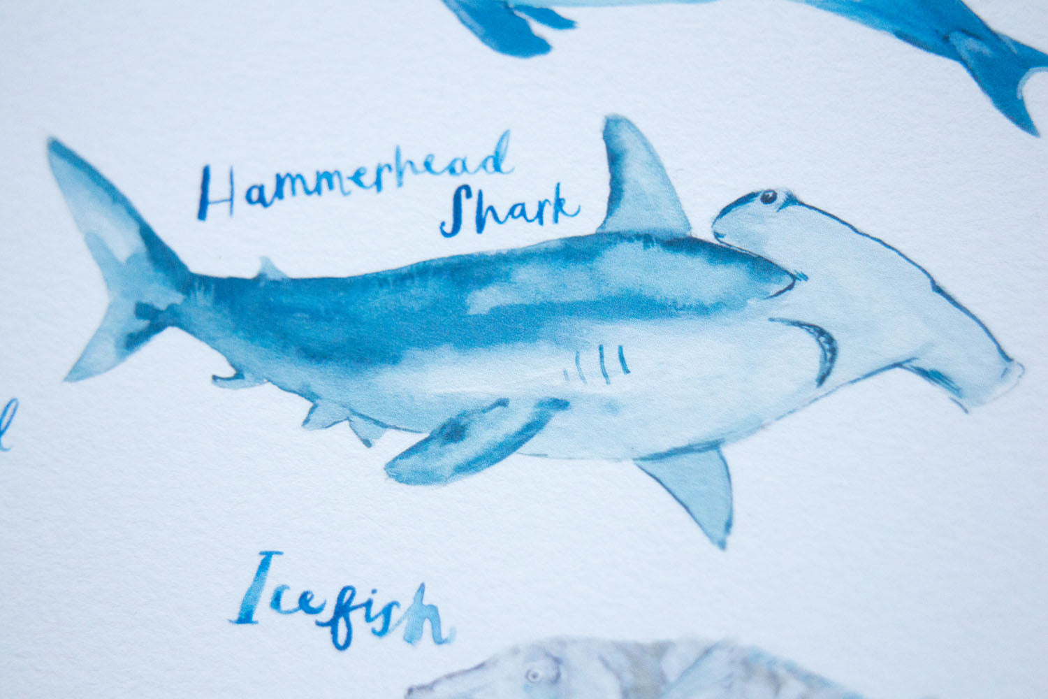 A4 A to Z of Sea Creatures Art Print