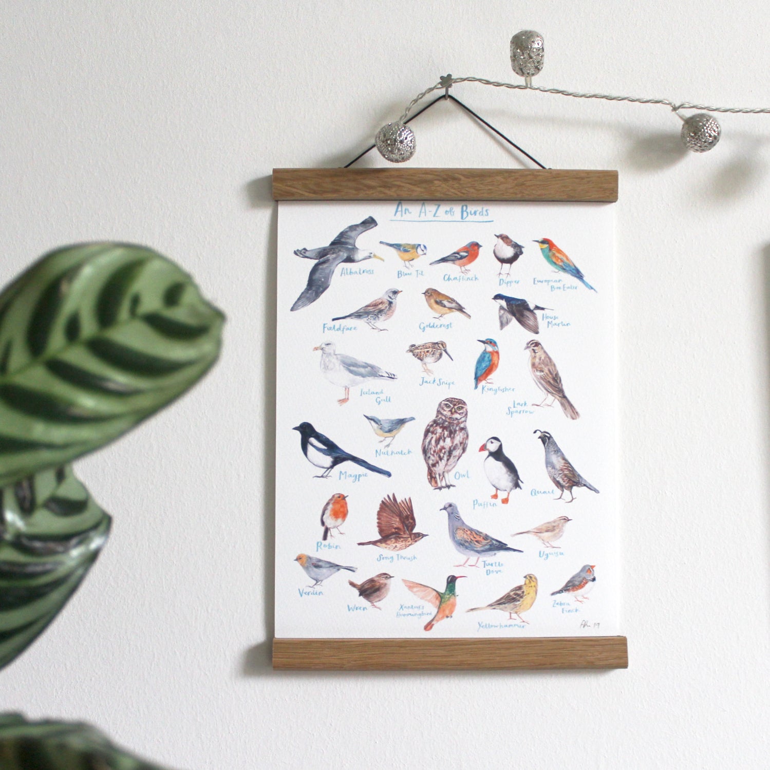 A4 A to Z of Birds Art Print