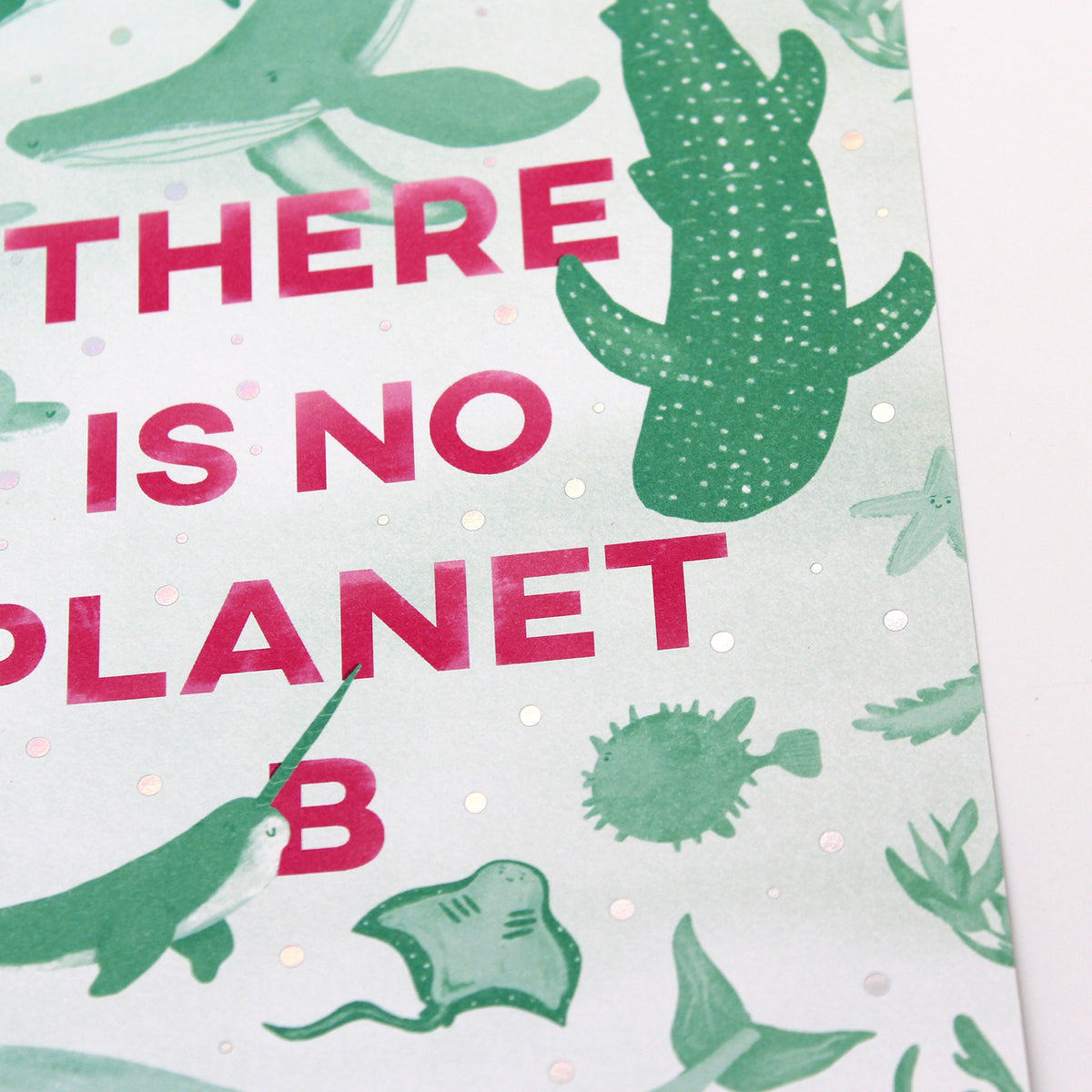 A5 There Is No Planet B Art Print